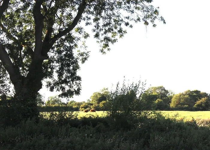 The Willowford